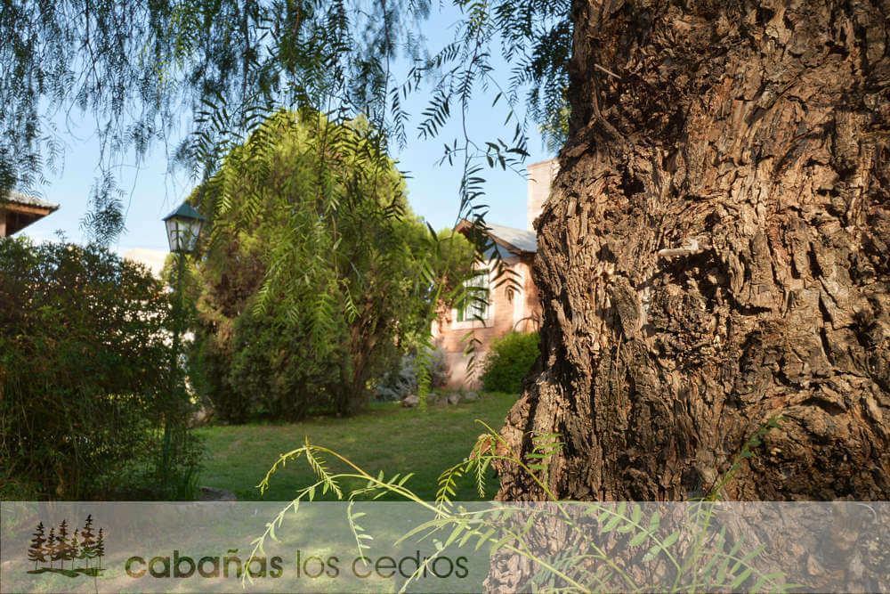 Cabanas Los Cedros Hotel ตันตี ภายนอก รูปภาพ